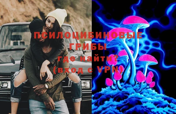 крисы Наволоки