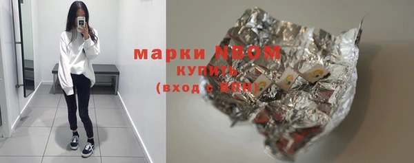 шишки Надым