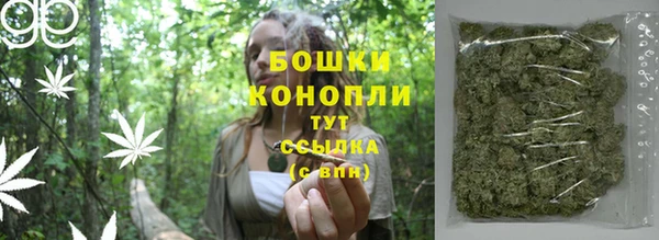 кокс Корсаков
