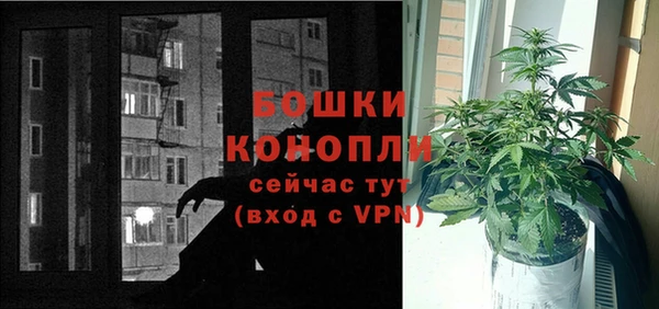стафф Богородск
