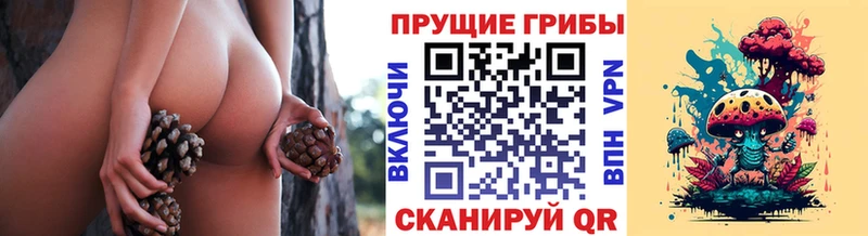 наркотики Верхоянск Псилоцибиновые грибы Psilocybine cubensis